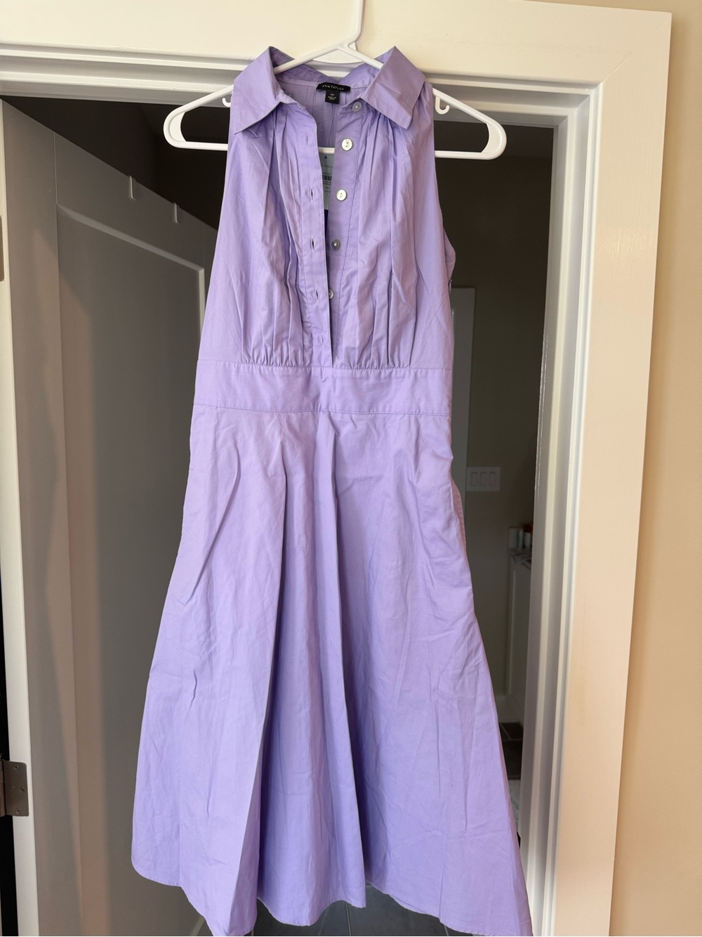 Ann Taylor Lavender Collared Sleeveless Dress